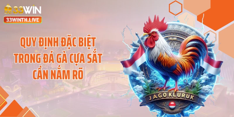 Quy định đặc biệt trong đá gà cựa sắt cần nắm rõ